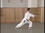 Хирики но Ёосей Ни - успражнение сила локтя номер 2 ёсинкан айкидо перемещение центра тяжести с одной ноги на другую